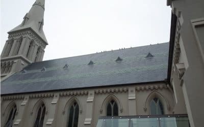 Faith-Based Solar: Where Stewardship Meets Sustainability