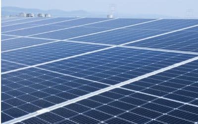Solar for Commercial Leasing: The Smart Investment That Pays You Back